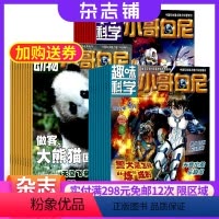 [正版]小哥白尼趣味科学+小哥白尼动物+小哥白尼军事科学2024年8月起订阅组合共36期杂志铺少儿科普军事科学动物世界