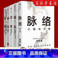 [正版]脉络 小我与大势+见识+态度+格局+富足 吴军人生进阶丛书 对重要问题的思考你能走多远取决于见识