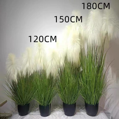 仿真网红天然芦苇假绿植植物造景盆栽摆件 每个规格各10盆起售
