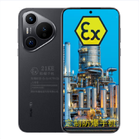 华为HUAWEI pura 70 Pro 1TB 旗舰手机 p70 pro 定制防爆手机 化工厂制药EX工业石油库天然气行业专用 防爆定制版(带证书)
