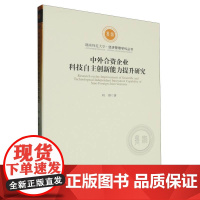 中外合资企业科技自主创新能力提升研究