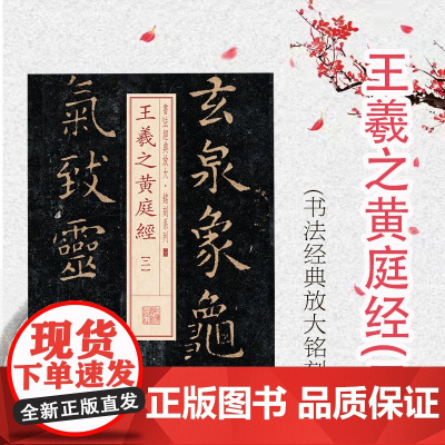 王羲之黄庭经(二) 书法经典放大 铭刻系列 书法碑帖 篆刻字帖 毛笔字书法自学教材 正版书法字帖 上海书画出版社 世纪出