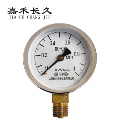 嘉禾长久+氮气压力表检测定制型+Y60+块