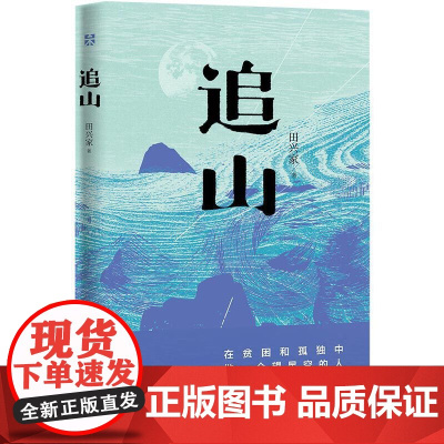 追山(一个县城数学老师的困顿与突围) 田兴家 北京十月文艺出版社 正版书籍