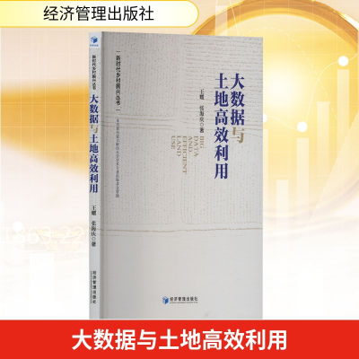 正版新书]大数据与土地高效利用王耀,张海庆 著9787524300694
