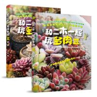 正版新书]和二木一起玩多肉II(上、下)二木9787517035282