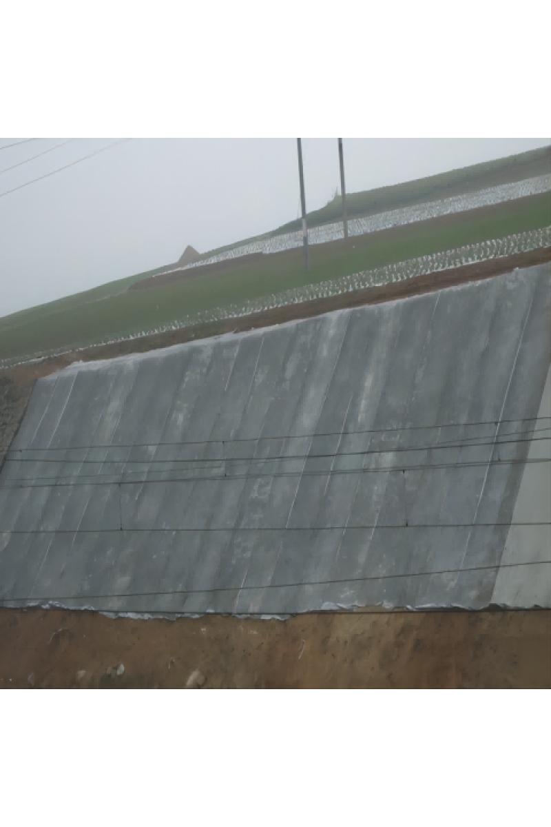 CXM 蔡晓民 XIAO MIN CAI 复合卷材 1h速凝(军用型)FHjj-10-1j/平方米