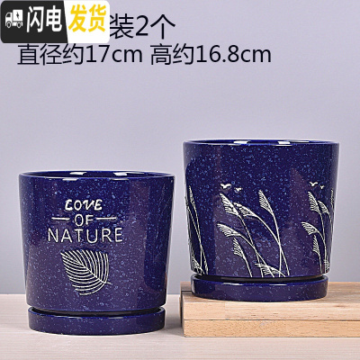 三维工匠欧式花盆陶瓷大号绿萝特大号小多肉花盆带托盘 TA09套装大号2个带托盘 中等花盆容器