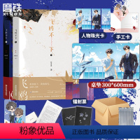 [正版]图书飞鸥不下 全2册 小说 回南雀 高人气作者高口碑代表作 青春文学小说实体书 图书 书籍