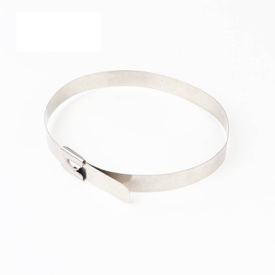 万梓 不锈钢扎带 12*1400mm 根