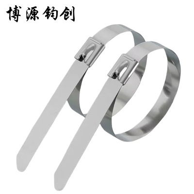 博源钧创 304不锈钢扎带 7.9*550MM 根