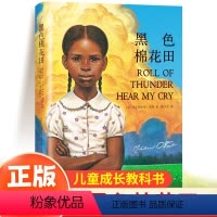 [精装版]黑色棉花田 [正版]黑色棉花田精装版斗半匠小学生二年级三四五六年级课外阅读书籍幼儿园 8-10-12岁成长励志