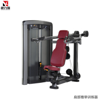 康力强LS507商用坐式肩部推举三角肌练习机肌肉专项训练局部型力量器械