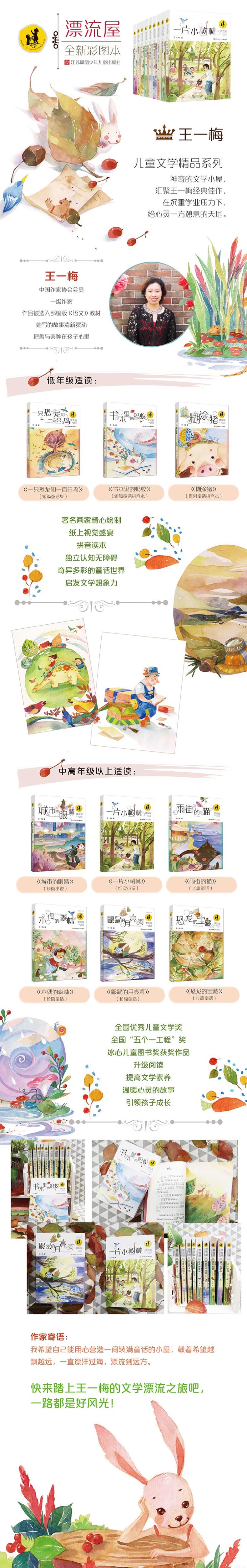 “漂流屋”王一梅儿童文学精品系列书本里的蚂蚁