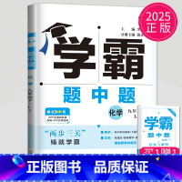 化学 九年级下 鲁教版 九年级/初中三年级 [正版]2025学霸题中题九年级下册上册数学物理英语化学苏科版译林版苏教人教