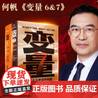 变量6:宏观世界奇遇记+变量7:为了不下牌桌的创新 何帆年度力作 逻辑思维得到罗振宇2024-2025跨年演讲 正版书籍