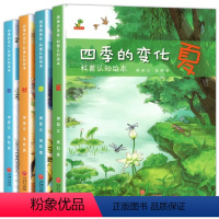 全套4册 四季的变化 科普认知绘本 [正版]关于夏天的绘本幼儿园 四季的变化儿童科普认知绘本3一6岁幼儿园春夏秋冬绘本故