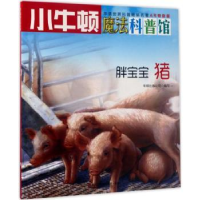 诺森胖宝宝:猪牛顿出版公司编写9787550719026海天出版社