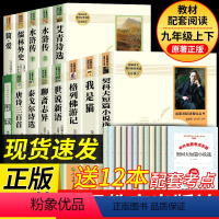 [人教版13册]九上+九下全套课外书 [正版]简爱和儒林外史九年级下册必读名著人民教育出版社完整阅读无删减初中生初三上册