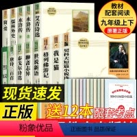 [人教版13册]九上+九下全套课外书 [正版]简爱和儒林外史九年级下册必读名著人民教育出版社完整阅读无删减初中生初三上册