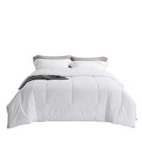 浩博时代 羽丝绒被芯夏季 HNSD655 条