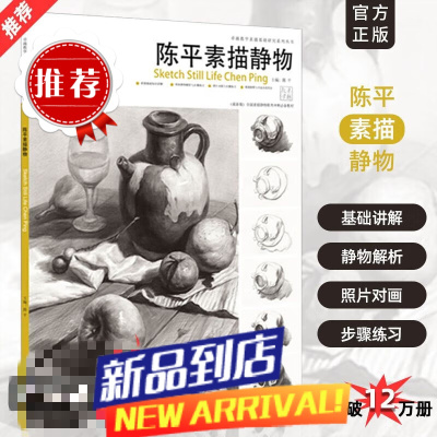 陈平素描静物1卓越教学基础自学单体组合联考经典教程3考级书