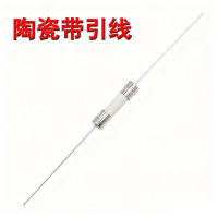 小窝厘 玻璃陶瓷保险丝管 玻璃T6.3AL250V(带引脚)