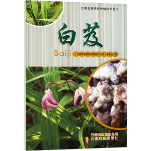 [M]白芨-9787541672781