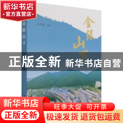 正版 金银山下 张先强 海峡文艺出版社 9787555026747 书籍