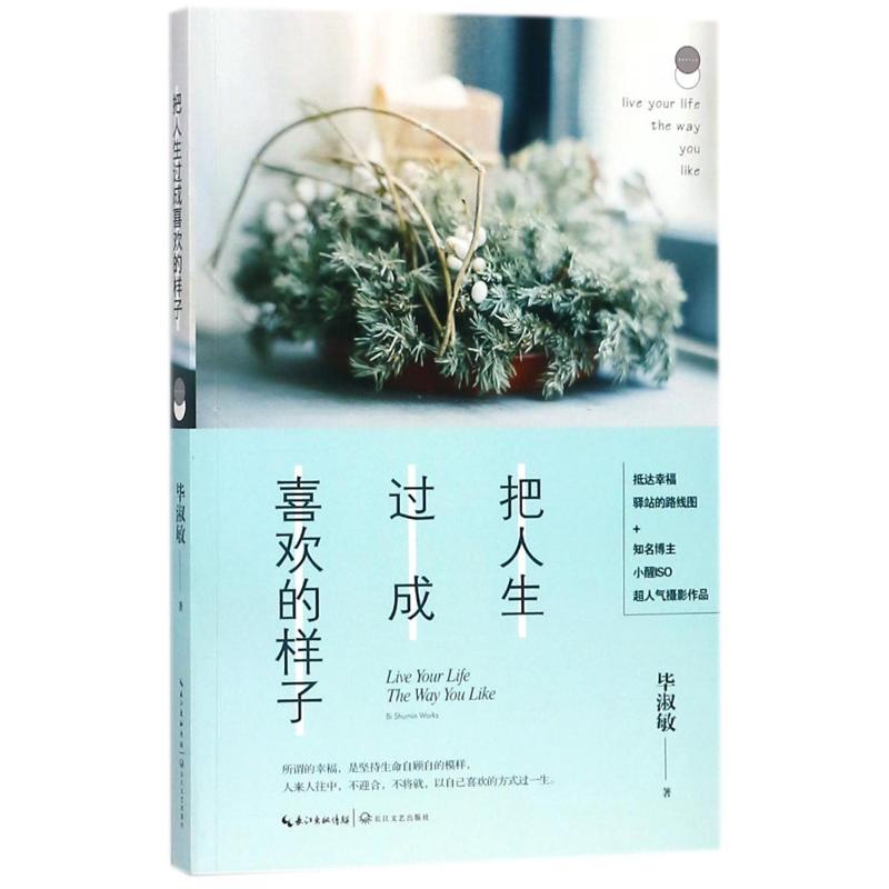 把人生过成喜欢的样子:毕淑敏心灵四书