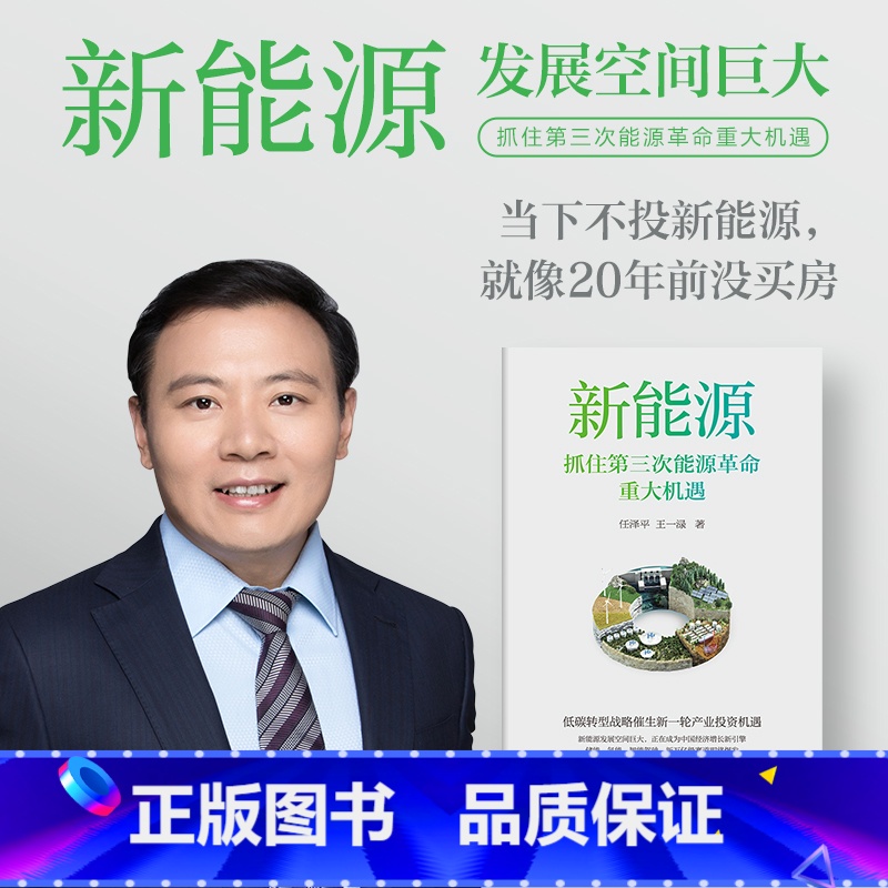 新能源 [正版]新能源 抓住第三次能源革命重大机遇 任泽平等著 探究第三次能源革命中的中国经济增长新机遇 推动新能源产业