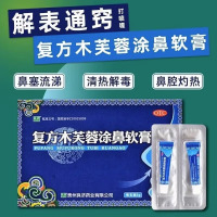 实发2盒 1支装]良济 复方木芙蓉涂鼻软膏 2g*2支/盒 解表通窍清热解毒感冒所引起的鼻塞流涕打喷嚏鼻腔灼热 软膏剂
