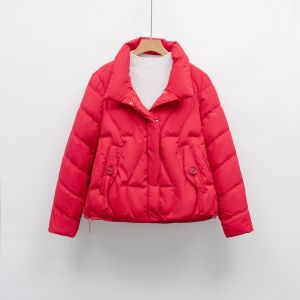 冬季保暖新款羽绒服女立领修身气质小个子简约纯色外套潮