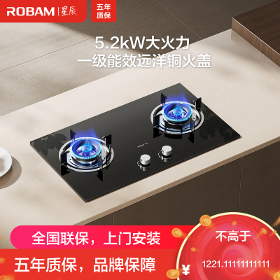 老板(Robam)[星辰系列]燃气灶家用双灶嵌入式煤气灶 5.2kW可调节小尺寸灶具灶台猛火灶一级能效20B2A天然气