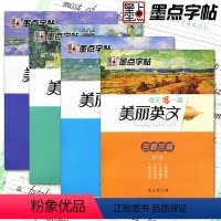 [正版]每天写一篇美丽英文斜体全套4册 励志演讲+品悟人生+优美情书+名著名篇 墨点字帖英文字帖英语字帖 龙文井书轻松