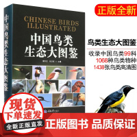 正版 重庆大学科普书籍 中国鸟类生态大图鉴 鸟类物种 鸟类生态图形式将鸟类真实直观地展现 郭冬生,张正旺 编