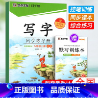八年级上册(赠默写训练本) [正版]2024版字帖写字同步练习册一年级二年级三年级四年级五六七八九年级人教版上册下册笔顺