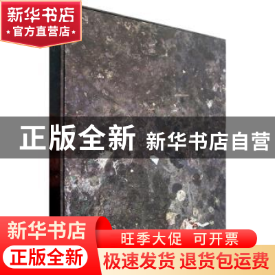 正版 硄愔:闫博作品:Yan bo's works 闫博绘 人民美术出版社 9787