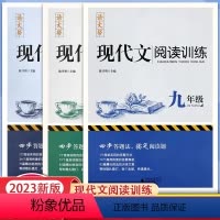 语文帮现代文阅读训练 八年级/初中二年级 [正版]语文帮2023版现代文阅读训练七八九年级上下册初中789年级语文课外阅