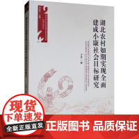 湖北农村如期实现全面建成小康社会目标研究 卢青 著 经济理论经管、励志 正版图书籍 中国社会科学出版社