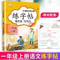 正版新书]2020新版小学一年级上册同步练字帖人教版部编语文同步