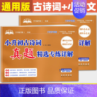 [小升初古诗词+小古文]真题精选 小学升初中 [正版]2024版 助考金卷小升初小古文真题精选专练详解 小升初古诗词真题