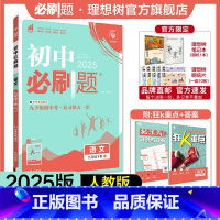 语文 九年级下 [正版]理想树2025版初中必刷题九年级下册语文初三必刷题同步练习中考复习资料模拟题辅导书同步练习题