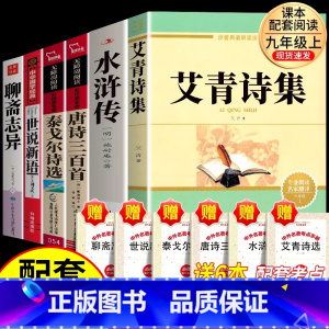 [6册]九年级全套课外阅读 [正版]艾青诗集九年级必读原著完整版 初中生初三课外阅读书籍初中版文学名著