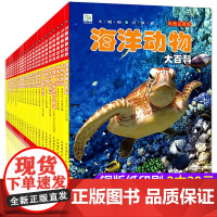 小眼睛看世界中国少年儿童百科全书大百科全套幼儿动物恐龙昆虫宇宙趣味科普类书籍小学生一二年级课外书军事海洋太空世界未解之谜
