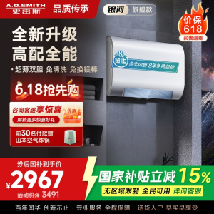 AO史密斯佳尼特家用电热水器80升 HTS免清洗免换镁棒 双胆速热HTS 一级能效 银河AIR