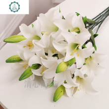 粉色香水百合花图片 粉色香水百合花图片大全 苏宁易购