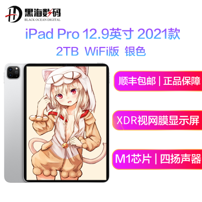 现-货已到-苹果Apple2021新款iPadPro12.9英寸2TWIFI版苹果平板电脑MHNQ3银色海外版