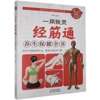 正版新书]彩色图解:一用就灵:经筋通养生保健全书杨克新编著978