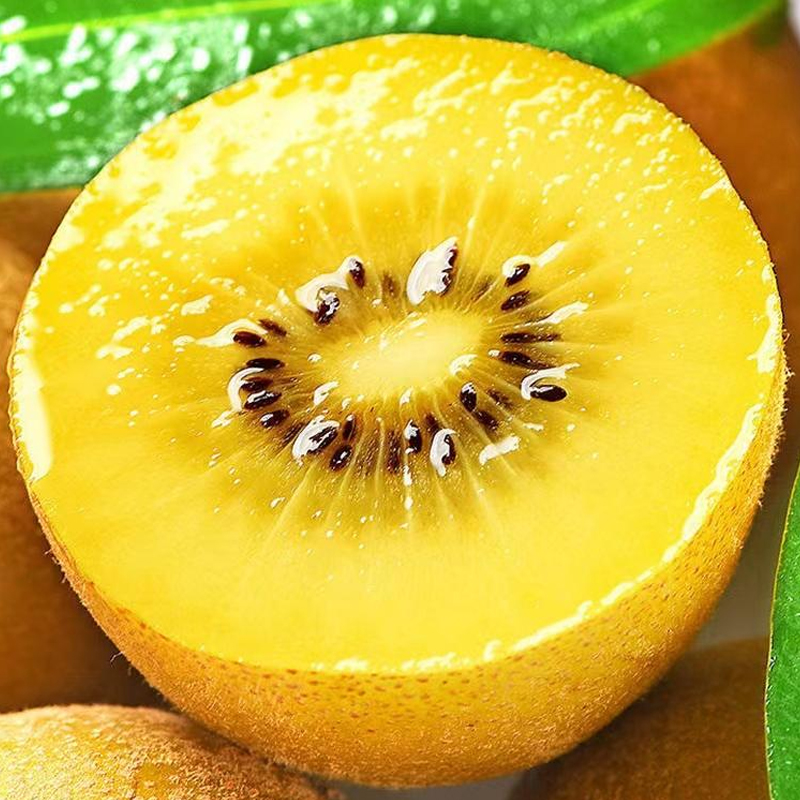 [西沛生鲜 ]智利进口黄心奇异果 20枚 单果70-85g/个 黄心猕猴桃 新鲜